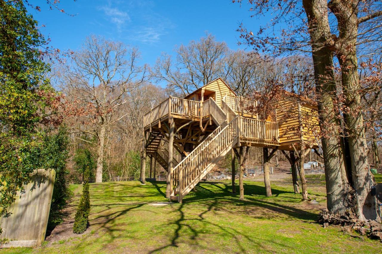 Oakside Tree Tops Кентербері Екстер'єр фото