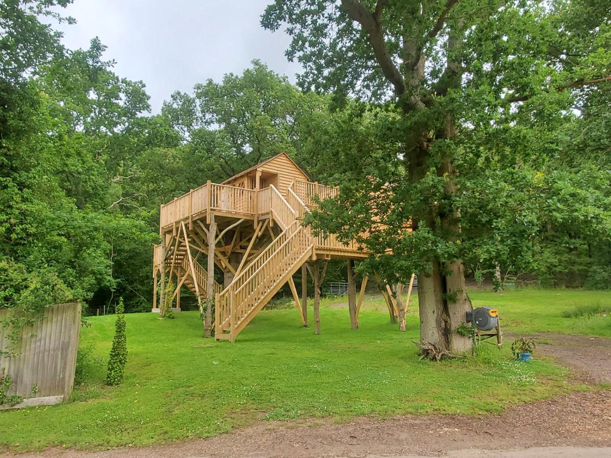 Oakside Tree Tops Кентербері Екстер'єр фото
